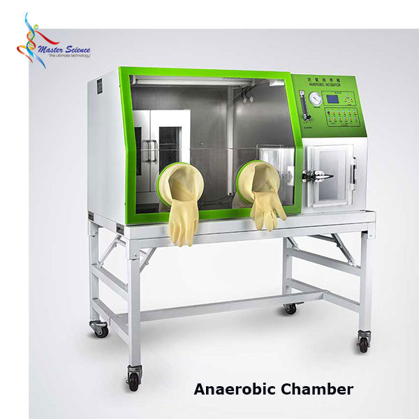 Anaerobic Incubator / Anaerobic Chamber | Temp. Range: RT+3 to 60°C | Timing Range: 1–9999 min