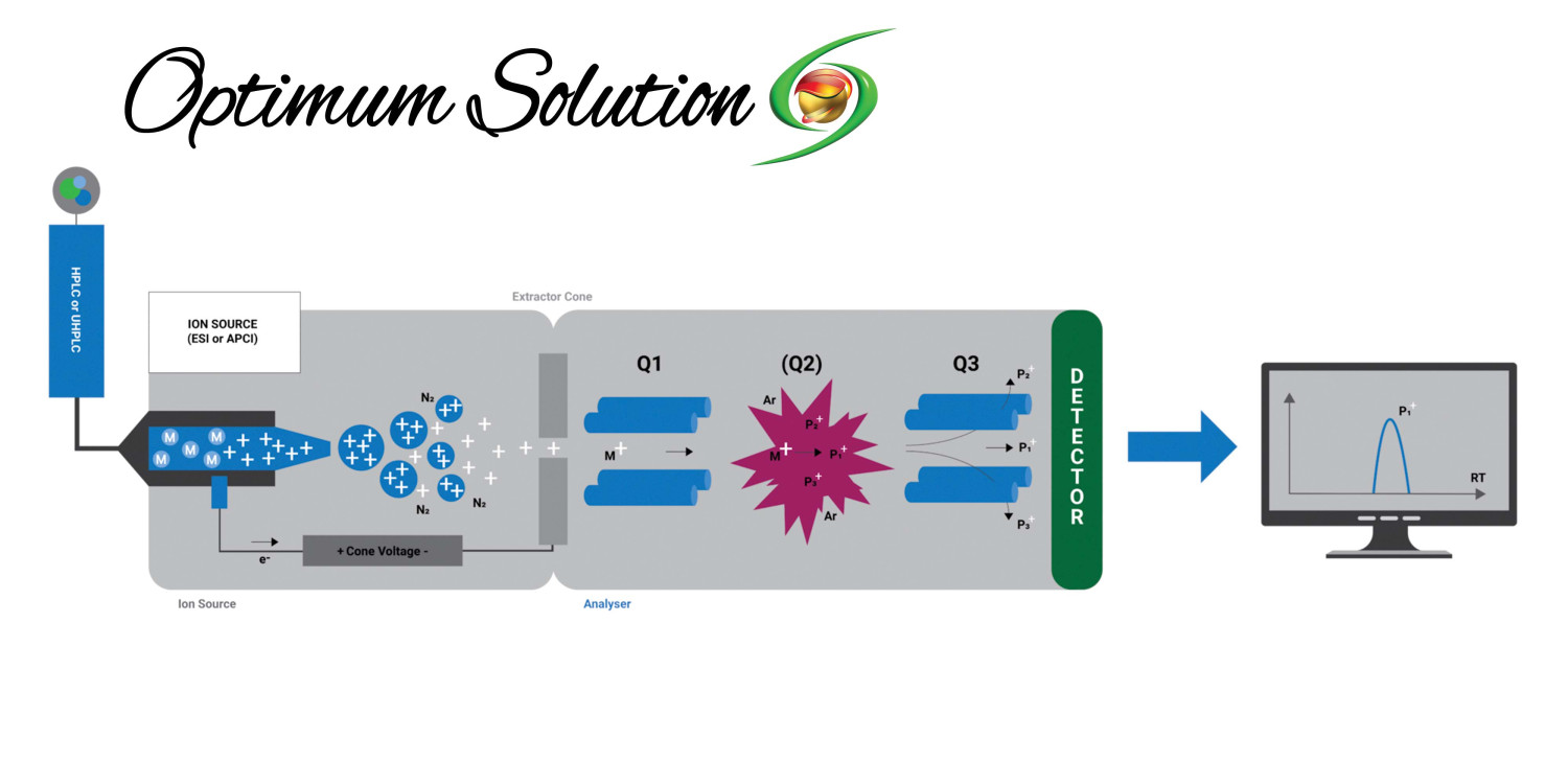 Exploring the Marvels of Chromatographic Technique Instruments